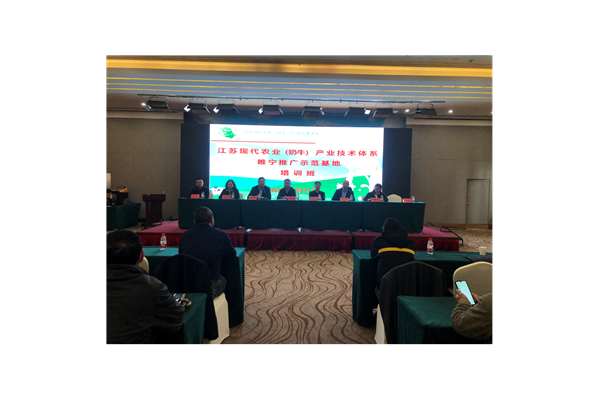 睢宁SEO优化网络推广费用几何？一文为你揭秘