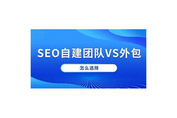 杭州seo网络优化,信赖蓝韵开启网站推广高效新篇章