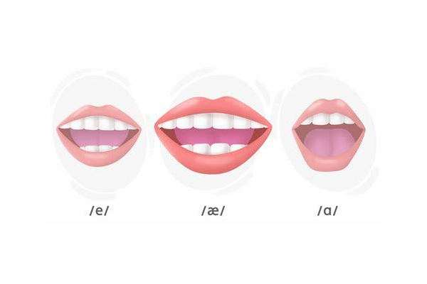 做SEO竟还有提成?背后隐藏着怎样不为人知的秘密与门道