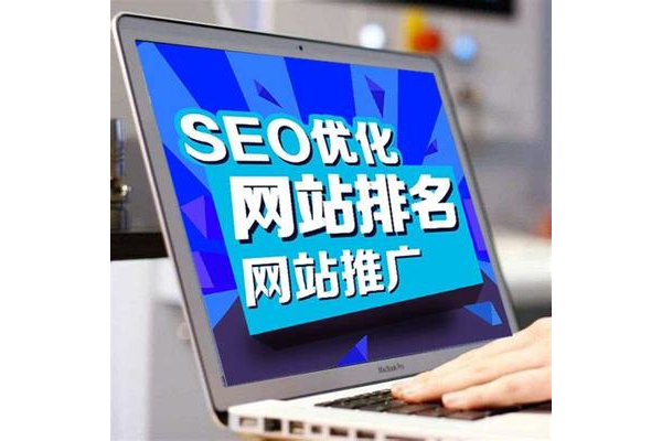 德州平台SEO优化代理：专业助力，开启平台流量增长新征程