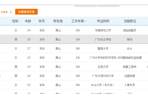 佛山网站优化必备！高效简历软件助力提升优化效果