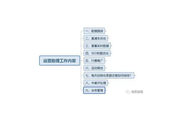 专业 SEO 优化入门：从基础到实操的关键要点解析