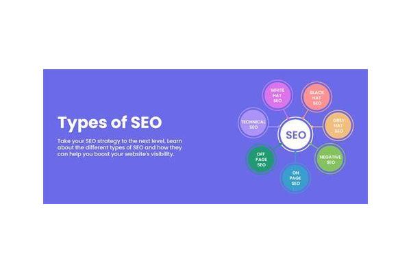 灰帽SEO优化推广平台：挖掘流量密码，开启营销新境界