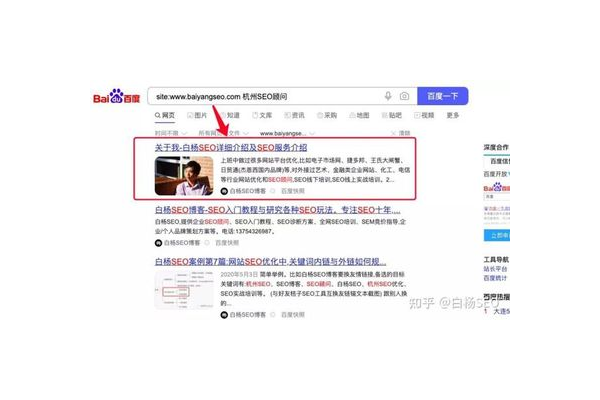 SEO快排代发一般需要多久？答案全解析