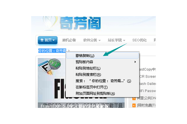 高效实用！这款方便SEO优化软件助你提升网站排名